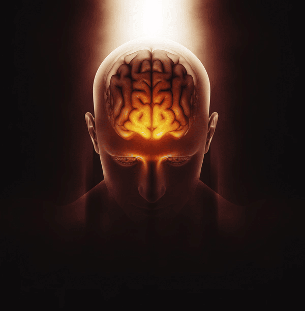 Artist's rendering of a person's head with a transparent skull, showing the brain as a glowing orb