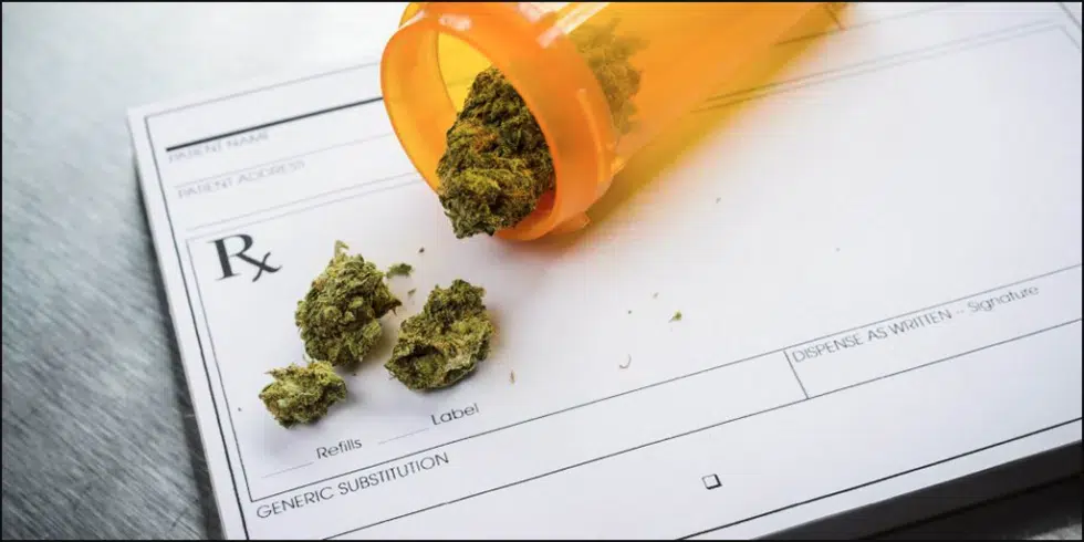 Colorado Doctors Talk Pain Treatment: Medical Marijuana vs. Opioids