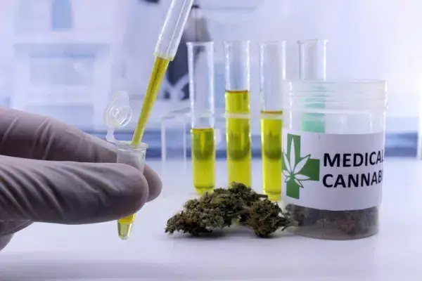 Person holding test tube with cannabis extract for medical use